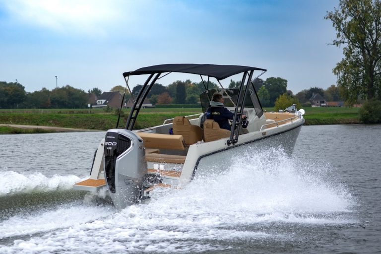 Danté V800