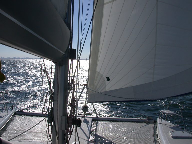 Sterk en comfortabel: African St. Francis Fastcat 48